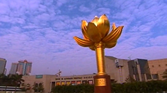 盛世蓮花(一)